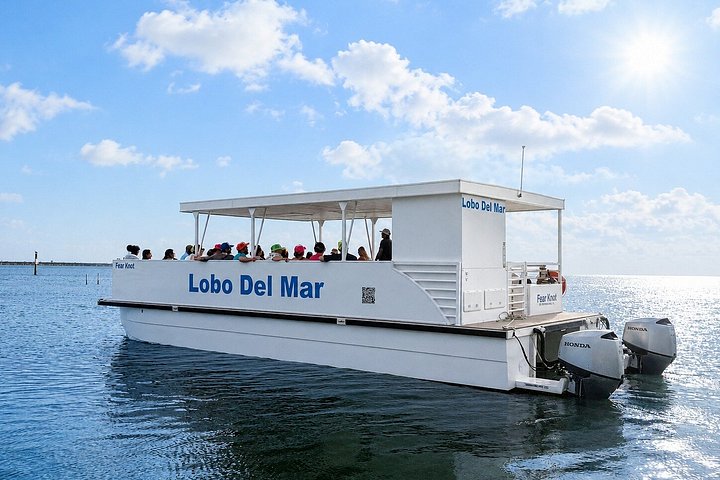 Restauranter i nærheten av North Bay Snorkel - South Padre Island