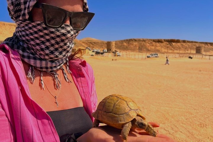 Hoteller i nærheden af Marsa Alam Sunset Quad Safari med Camel Ride