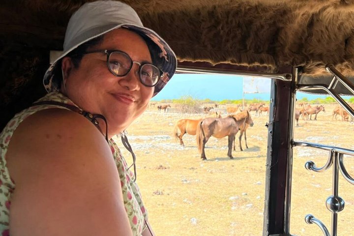Excursão de dia inteiro em Delft e Nainativu Island Adventure from Jaffna