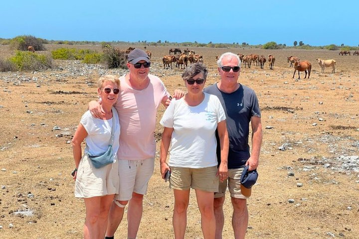 Excursão de dia inteiro em Delft e Nainativu Island Adventure from Jaffna