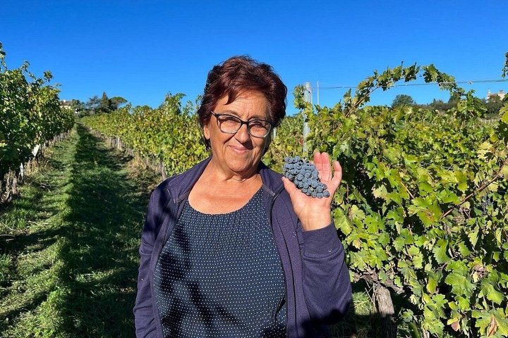 Upptäck italienska viner på Tenuta La Viola