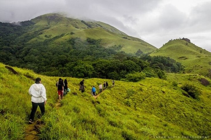 Thekkady Jeep safari og nasjonalpark tur med te smak