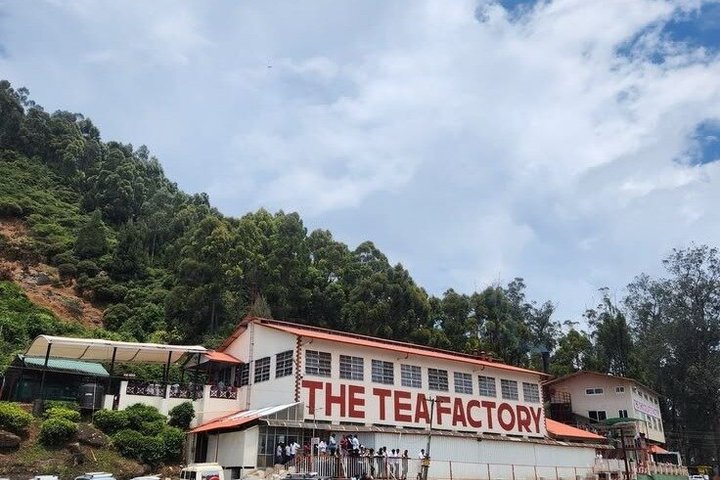Thekkady Jeep safari og nasjonalpark tur med te smak