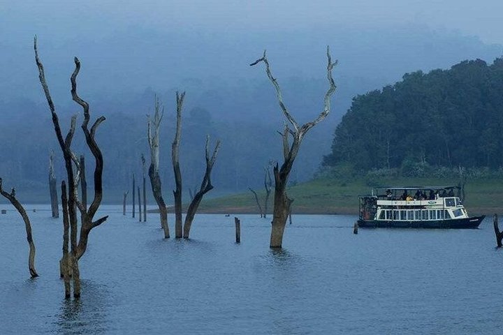 Thekkady Jeep safari og nasjonalpark tur med te smak