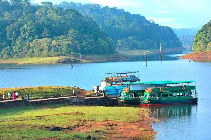 Thekkady Jeep safari og nasjonalpark tur med te smak