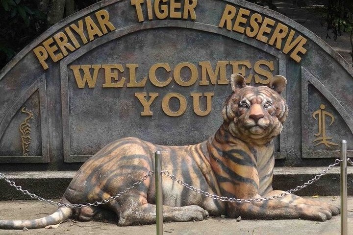 Thekkady Jeep safari og nasjonalpark tur med te smak