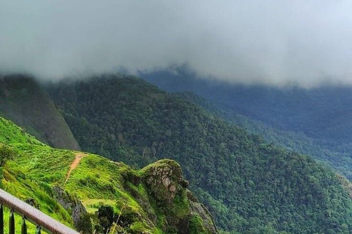 Thekkady Jeep safari og nasjonalpark tur med te smak