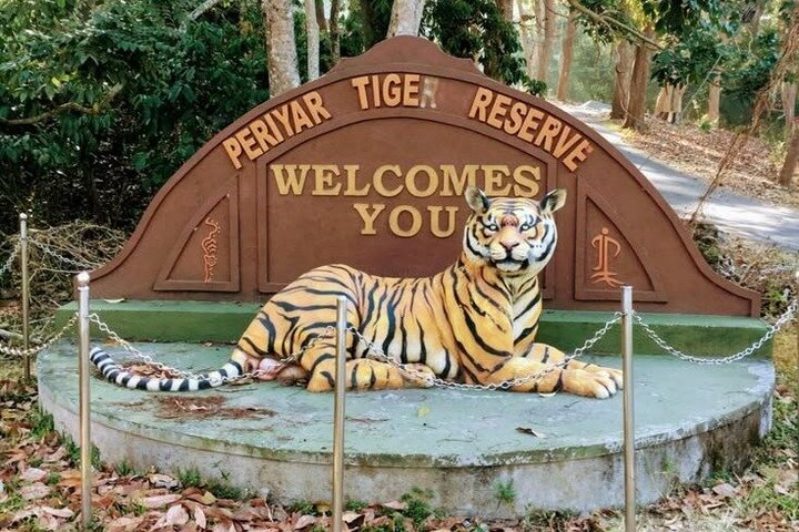 Thekkady Jeep safari og nasjonalpark tur med te smak