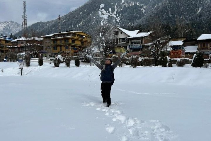 Pahalgam & Aru Valley Tour met Saffraan & Appelboerderijen ex Srinagar