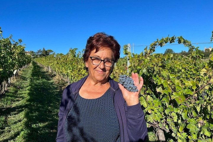Ontdek Italiaanse wijnen bij Tenuta La Viola met 6 wijnproeverijen