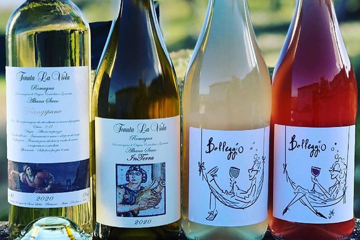 Ontdek Italiaanse wijnen bij Tenuta La Viola met 6 wijnproeverijen
