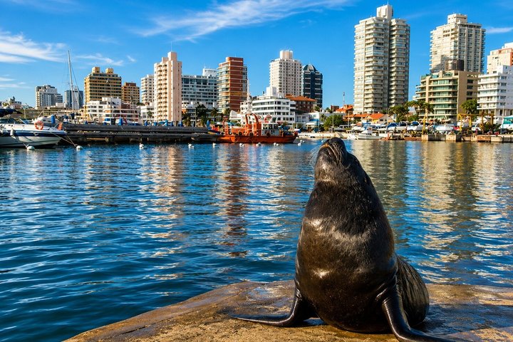 Descubre Punta del Este : Tour Privado por la Ciudad con un Guía Local