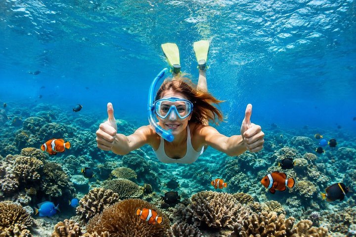 All Inclusive: Schnorcheln in der Blauen Lagune von Bali, Mittagessen und Transport