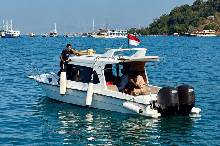 Tour privado en lancha rápida por la mañana temprano al Parque Nacional de Komodo