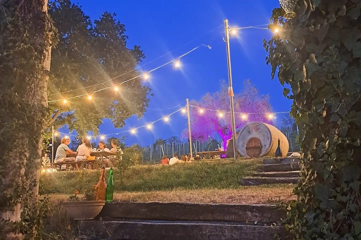 Visite de vignobles et dégustation au plus vieux domaine viticole du Marche