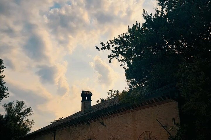 Visite de vignobles et dégustation au plus vieux domaine viticole du Marche