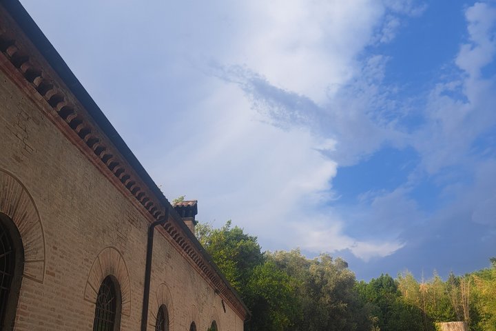 Visite de vignobles et dégustation au plus vieux domaine viticole du Marche