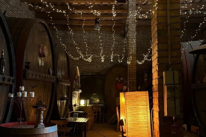 Visite de vignobles et dégustation au plus vieux domaine viticole du Marche