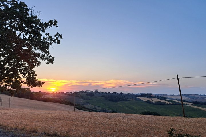 Visite de vignobles et dégustation au plus vieux domaine viticole du Marche