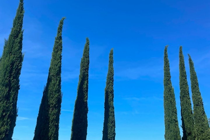 Visite de vignobles et dégustation au plus vieux domaine viticole du Marche
