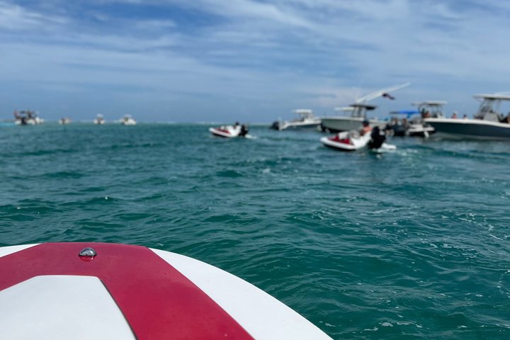 90 - Minute Carolina Beach Mini Bateau à moteur Aventure guidée