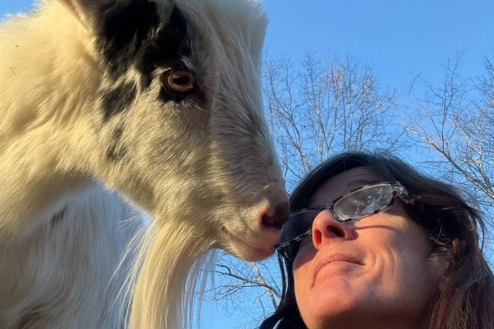 Caminata de aventura con el rebaño de cabras en Frederick Farm Sanctuary