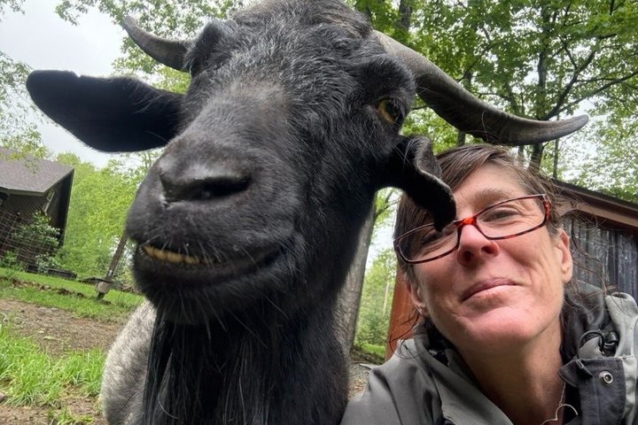 Caminata de aventura con el rebaño de cabras en Frederick Farm Sanctuary