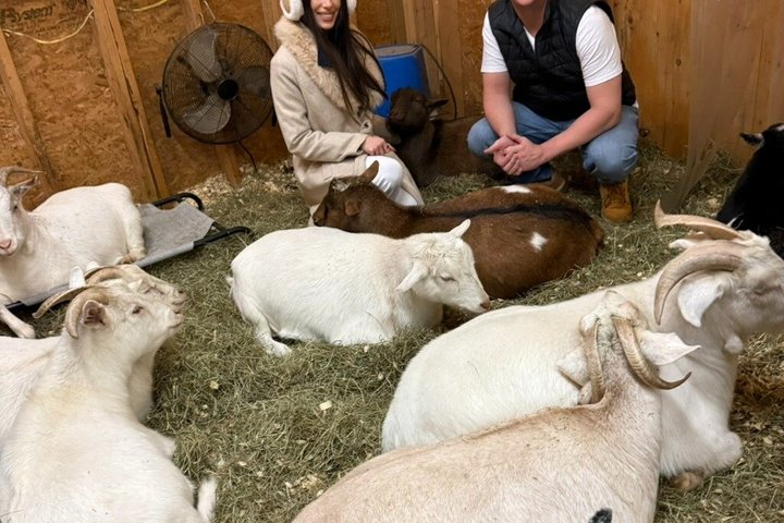 Caminata de aventura con el rebaño de cabras en Frederick Farm Sanctuary
