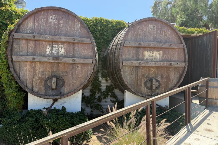 Privat Deluxe vinresa till Valle de Guadalupe med lyxfordon