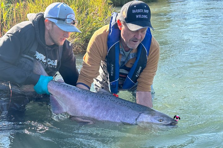 6 timmars dag guidad fiske Charter på Kenai River