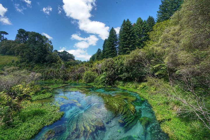 Hotéis próximos a: Hamilton Waitomo Glowworms Blue Springs and Kiwi House