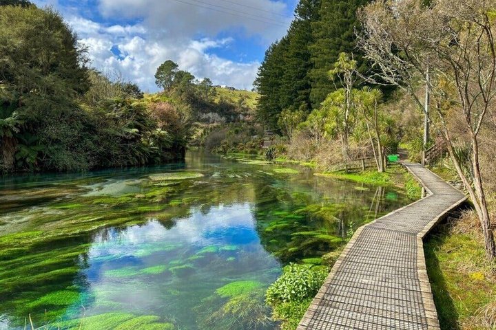 Hotéis próximos a: Hamilton Waitomo Glowworms Blue Springs and Kiwi House