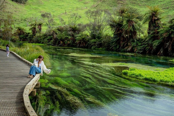 Hotéis próximos a: Hamilton Waitomo Glowworms Blue Springs and Kiwi House