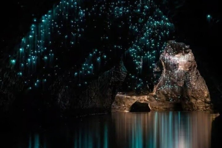 Hotéis próximos a: Hamilton Waitomo Glowworms Blue Springs and Kiwi House
