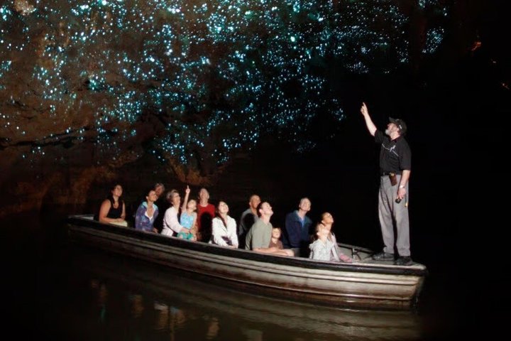 Hotéis próximos a: Hamilton Waitomo Glowworms Blue Springs and Kiwi House