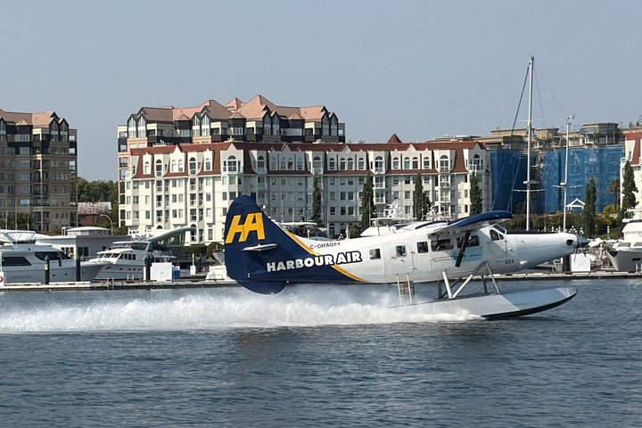 NUEVO Victoria Harbour 75 min Tour en barco con guía turístico