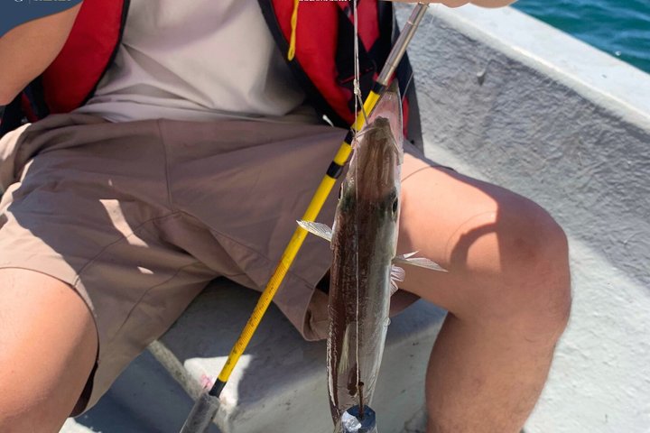 Kota Kinabalu 3 ore di pesca costiera e tour dell'isola
