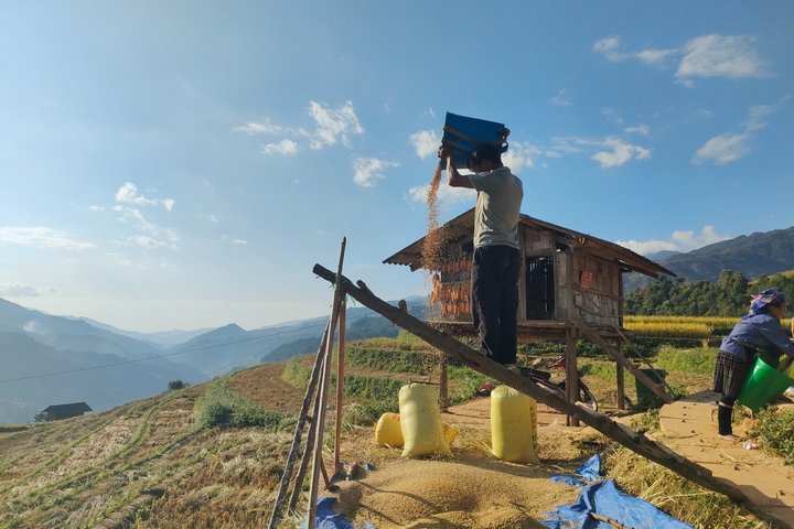 Halbtägige private Trekking Mu Cang Chai_Morgen oder Nachmittag