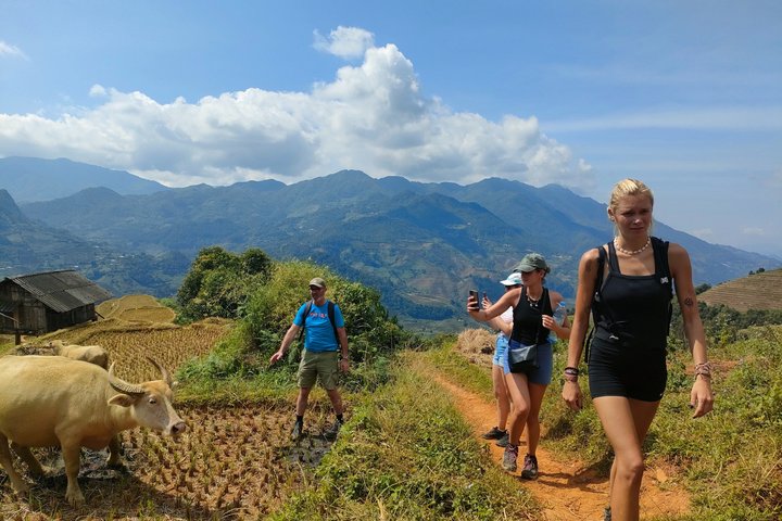 Halbtägige private Trekking Mu Cang Chai_Morgen oder Nachmittag
