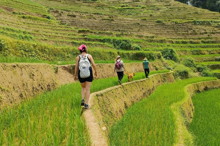 Halbtägige private Trekking Mu Cang Chai_Morgen oder Nachmittag