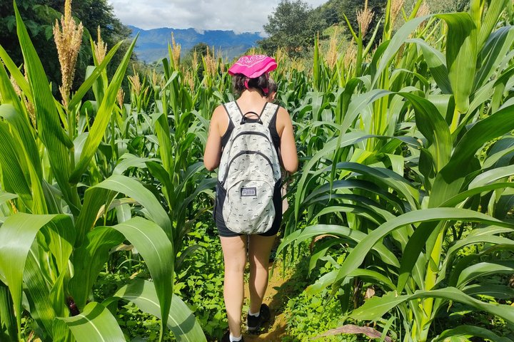 Halbtägige private Trekking Mu Cang Chai_Morgen oder Nachmittag
