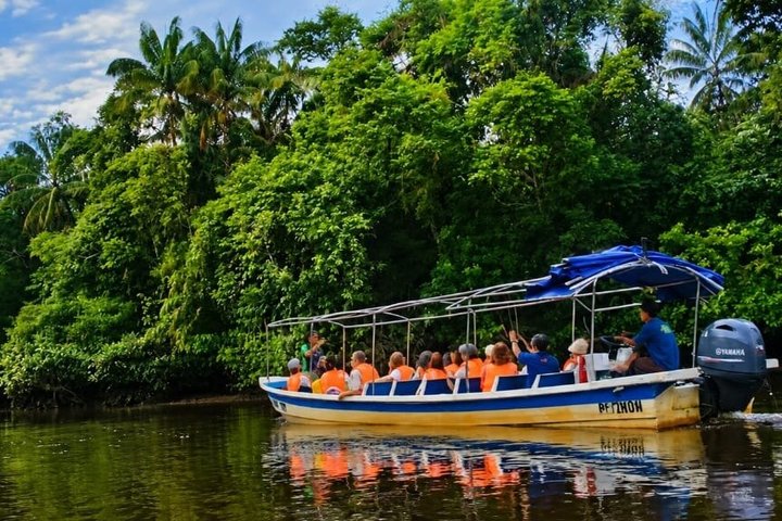 Cruzeiro pelo rio Borneo (Klias) e passeio pelos vaga-lumes