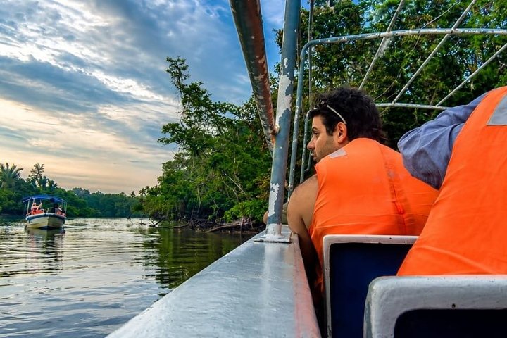 Cruzeiro pelo rio Borneo (Klias) e passeio pelos vaga-lumes