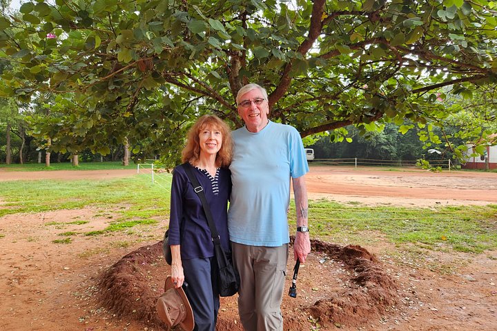 Beste Privat-Tagestour durch Pondicherry und Auroville von Chennai