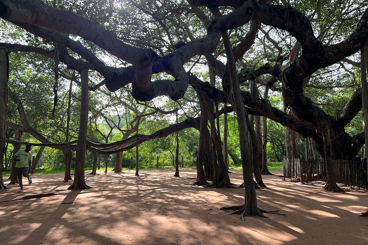Beste Privat-Tagestour durch Pondicherry und Auroville von Chennai
