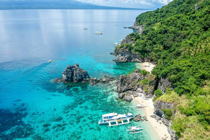 Excursión de un día a la isla de Apo desde Dumaguete con almuerzo y traslado