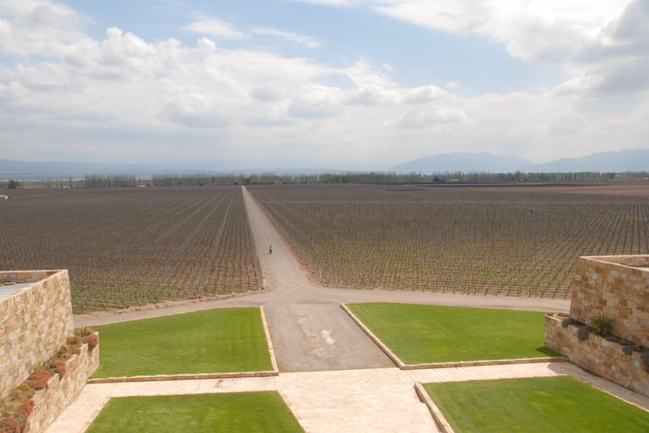 Experiencia de Vinos en Mendoza Medio Día en Maipú y Luján