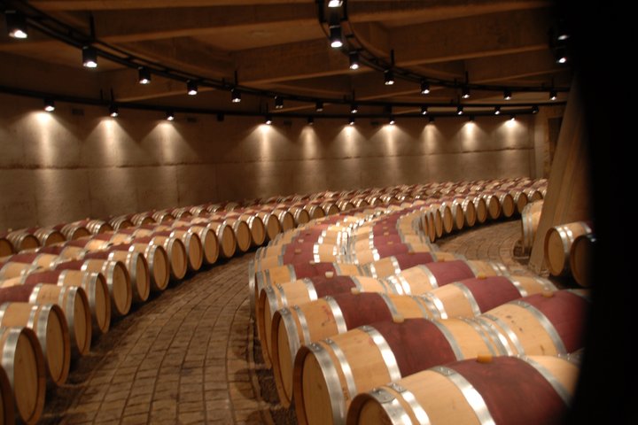 Experiencia de Vinos en Mendoza Medio Día en Maipú y Luján