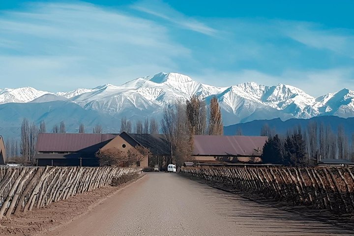 Experiencia de Vinos en Mendoza Medio Día en Maipú y Luján