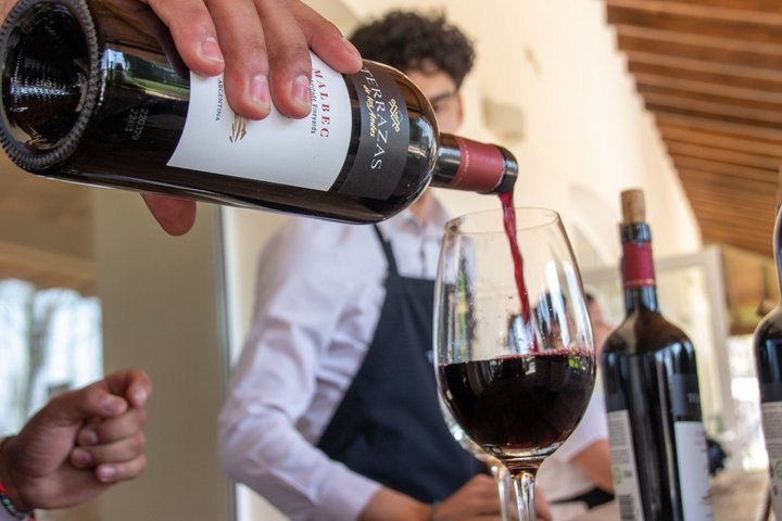 Experiencia de Vinos en Mendoza Medio Día en Maipú y Luján